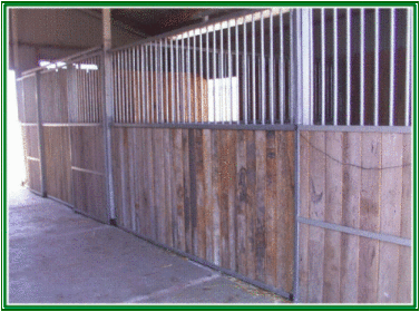 Stables flyer